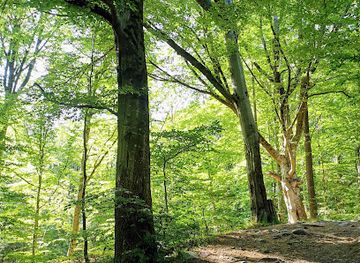 norway/vestfold/landmark/hjertastoppen