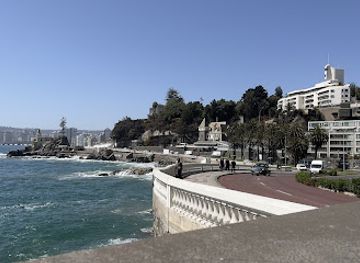 chile/vina-del-mar/valparaiso/landmark/palace-of-cerro-castillo