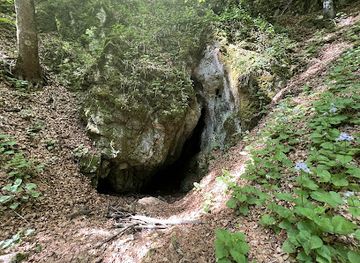 romania/rasnov-area/landmark/pestera-rasnoavei