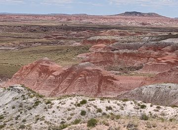 arizona/petrified-forest-national-park/landmark/whipple-point