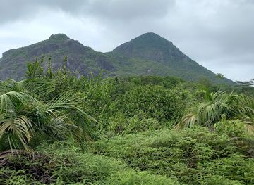 seychelles/port-glaud/landmark/mare-aux-cochons