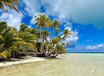 french-polynesia/windward-islands/landmark/rimatu-u