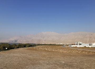 united-arab-emirates/jebel-jais/landmark/rak-mangroves