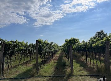 croatia/rovinj/landmark/opg-suran-petar-rino-rovinjska-vina