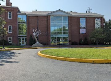 delaware/dover/landmark/biggs-museum-of-american-art