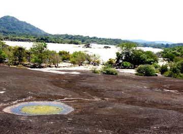 colombia/orinoquia/landmark/pnn-tuparro