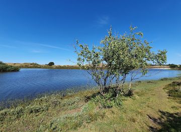 netherlands/kennemerland/landmark/schoorlse-duinen