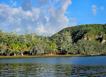 puerto-rico/isabela/landmark/arbol-de-la-vida