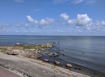 lithuania/nida-beach/landmark/thomas-mann-culture-centre