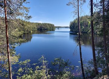 finland/koli-national-park/landmark/petkeljarvi-national-park