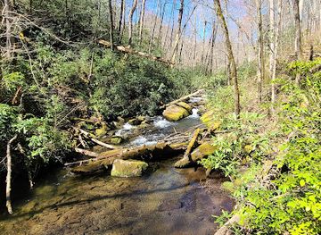 north-carolina/nantahala-national-forest/landmark/joyce-kilmer-memorial-forest-cheoah-ranger-district-nantahala-national-forest