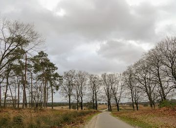 netherlands/hoge-veluwe-national-park/landmark/hoog-buurlose-heide