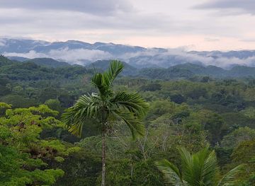 jamaica/santa-cruz-mountains/landmark/chukka-eco-adventure-outpost-at-good-hope