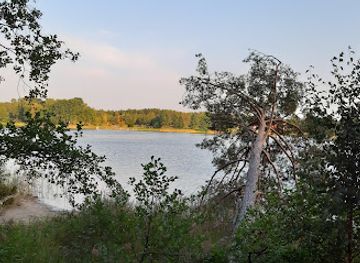 poland/bory-tucholskie/landmark/rezerwat-przyrody-cisy-nad-czerska-struga