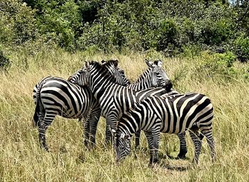 rwanda/akagera-national-park/landmark/panther-adventures-ltd