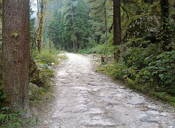 india/manali/landmark/manali-adventure-activities