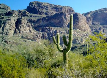 arizona/sonoran-desert/landmark/kris-eggle-visitor-center
