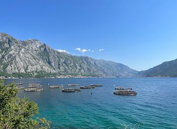 montenegro/kotor-bay/landmark/underwater-wine-cellar-kraken-kotor