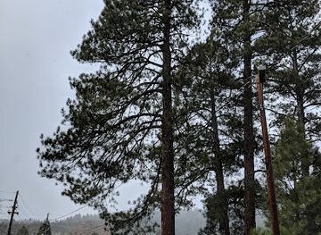 arizona/flagstaff/landmark/pioneer-museum-arizona-historical-society