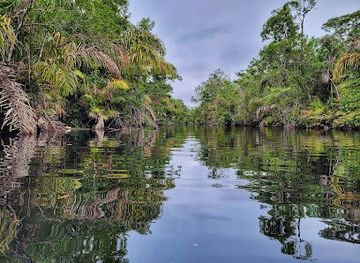 costa-rica/tortuguero-national-park/landmark/sea-turtle-conservancy-visitor-s-center