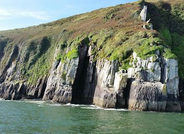 ireland/dingle/landmark/dingle-dolphin-boat-tours