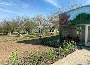 azerbaijan/ali-bayramli/landmark/alpaca-azerbaijan