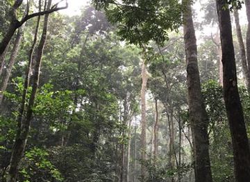 cote-d-ivoire/abidjan/marcory/landmark/parc-national-du-banco