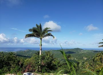 barbados/cherry-tree-hill/landmark/mount-hillaby