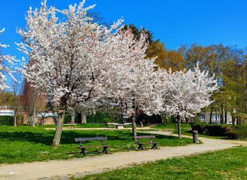 belgium/brussels/anderlecht/landmark/busselenbergpark