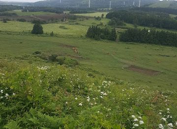 south-korea/jeju-island/landmark/baekyaki-oreum-volcanic-cone