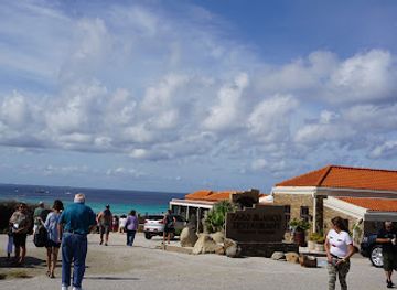 aruba/boca-catalina/landmark/aruba-adventure-tours