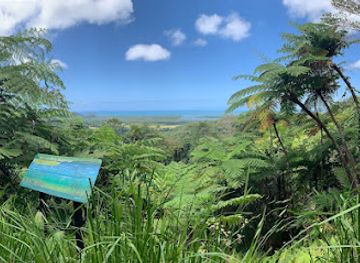 australia/cape-tribulation/landmark/mount-alexandra-lookout