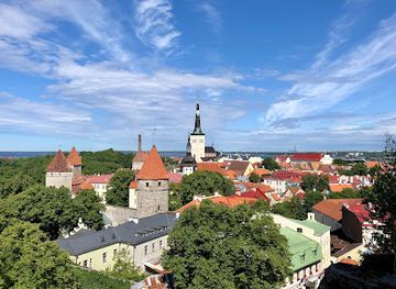estonia/lahemaa/landmark/patkuli-viewing-platform