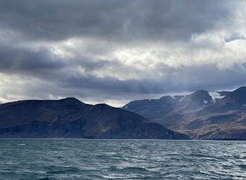 iceland/husavik-area/landmark/friends-of-moby-dick-whale-watching