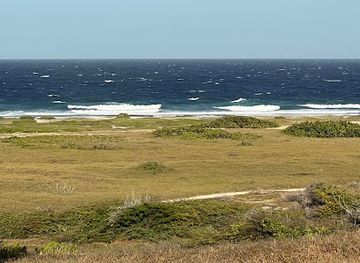 aruba/california-lighthouse/landmark/red-anchor