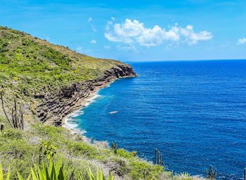 antigua-and-barbuda/falmouth/landmark/carpenter-rock-trail-antigua