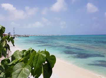 turks-and-caicos-islands/west-caicos/landmark/turks-and-caicos-national-museum