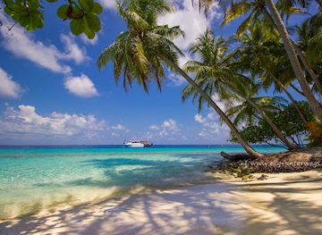 maldives/male-atoll/landmark/fihalholi