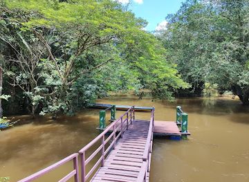 ecuador/cuyabeno-wildlife-reserve/landmark/el-puente-cuyabeno