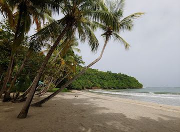 grenada/bbc-beach/landmark/la-sagesse-beach