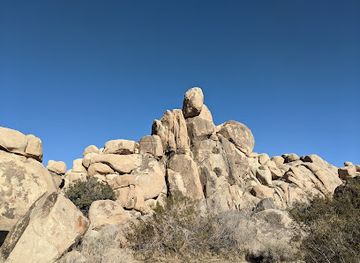 california/joshua-tree/landmark/joshua-tree-national-park-tour