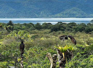 costa-rica/northern-plains/landmark/arenal-volcano-view-and-lava-trails