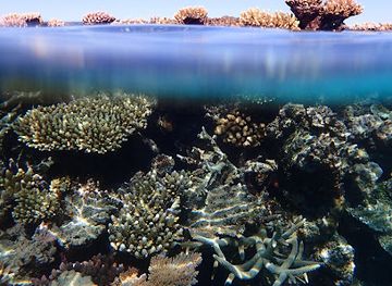 australia/ningaloo-reef/landmark/coral-sea-dreaming-dive-and-sail