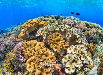 indonesia/pulau-bunaken/landmark/bunaken