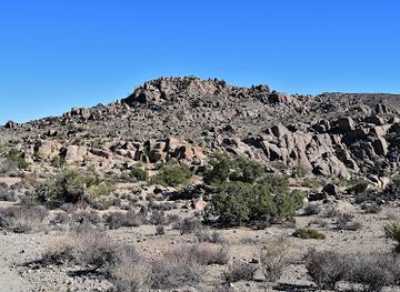 california/joshua-tree-national-park/landmark/desert-queen-mine