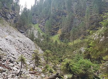 romania/apuseni-mountains/landmark/avenul-bortig