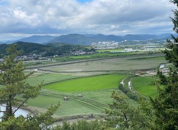 south-korea/suncheon/landmark/suncheon-bay-reed-field