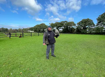 Falconry Kerry (in Killarney)