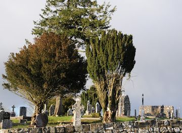 ireland/connacht/landmark/st-dermot-s-well
