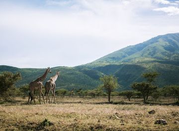tanzania/northern-zone/landmark/suricata-safaris